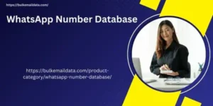 WhatsApp Number Database